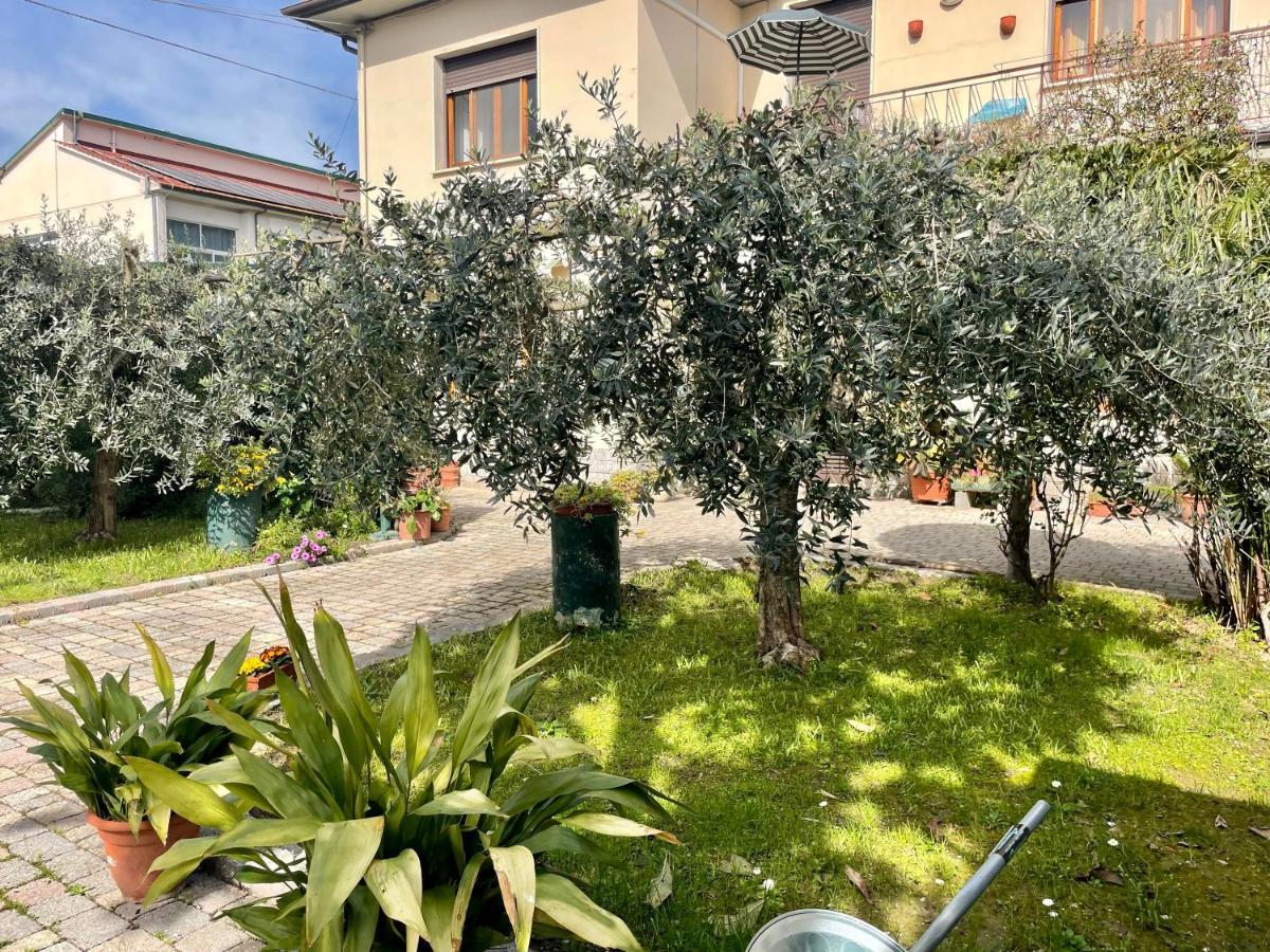 Casa La Palma Appartement Vecchiano Buitenkant foto
